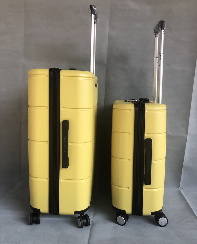 BFW3 - Mix Luggages - 087