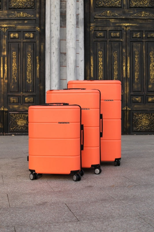 BFW3 - Mix Luggages - 074