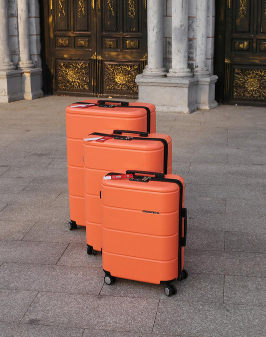 BFW3 - Mix Luggages - 074