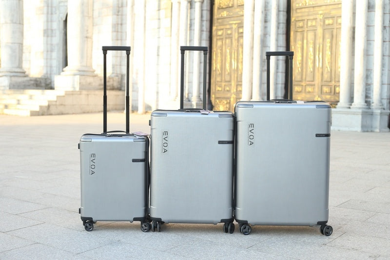 BFW3 - Mix Luggages - 062